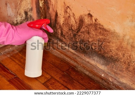 Chlorine is sprayed on a wall affected by mold and fungus. Fight against moisture, mold and fungus.
