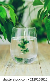 Chlorophyll Supplement In A Glass Of Water. Selective Focus. Nature.