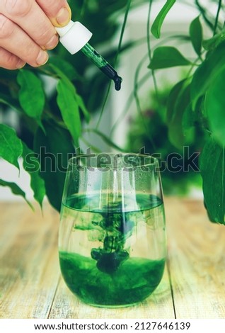 chlorophyll supplement in a glass of water. Selective focus. Nature.