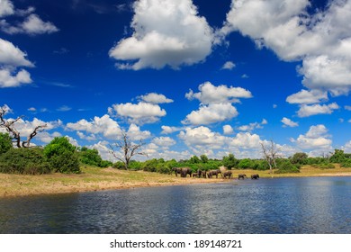 Chobe National Park, Botswana