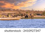 Chobe National Park, Botswana : Tourists in a boat observe elephants along the riverside of Chobe River in Chobe National Park, Botswana.