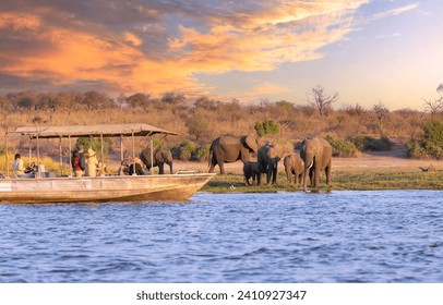 Chobe National Park, Botswana : Tourists in a boat observe elephants along the riverside of Chobe River in Chobe National Park, Botswana. - Powered by Shutterstock