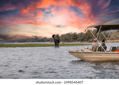 Chobe National Park, Botswana : Tourists in a boat observe elephants along the riverside of Chobe River in Chobe National Park, Botswana. - Powered by Shutterstock