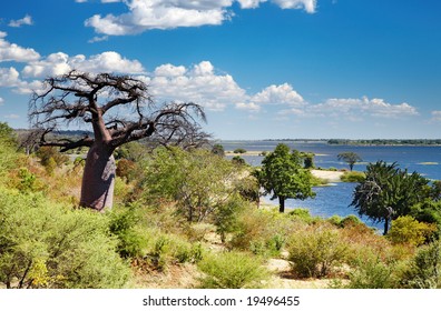 Chobe River In Botswana