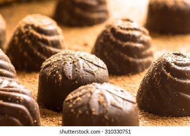 Chocolate Bonbon In Cocoa Powder In Focus