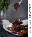 Chocolate brownie with chocolate sauce. High quality photo