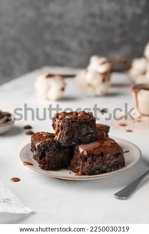 Chocolate brownies on a ceramic plate with pouring melted chocolate sauce on a light background. American chocolate dessert. Homemade bakery.