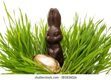 Chocolate Bunny In The Grass With Wrapped Easter Eggs