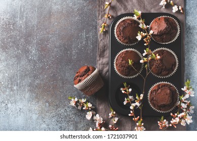 Chocolate Cacao Muffins Flat Lay With Flowers Branches, Mothers Or Fathers Day Concept, Top View, Copy Space On Dark Background