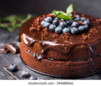 Chocolate cake with berries - Shutterstock ID 394680466
