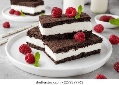 Chocolate cake with milk cream filling on a white plate with fresh raspberries and mint with bottles of milk. Delicious dessert. Copy space - Powered by Shutterstock