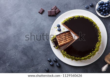 Chocolate cake on a plate. Grey stone background. Copy space. Top view.