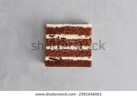 Chocolate Cake Slice on Minimalist Gray Background with High Contrasts.