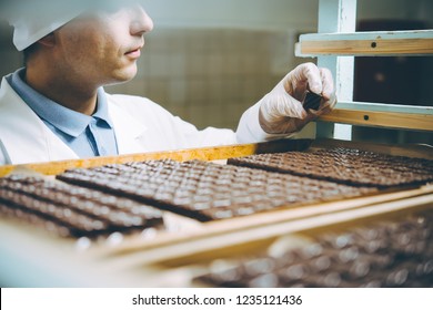 Chocolate Candies Process Making Master Factory Worker