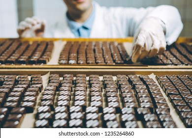 Chocolate Candies Process Making Master Factory Worker