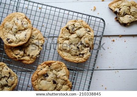 Chocolate Chip Cookies Fresh from Oven