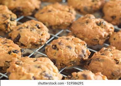 Chocolate Chip Cookies On A Tray Rack,Fresh Baked Cookie Close Up Shot.