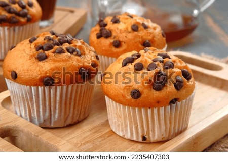 Chocolate chip muffins on grey background