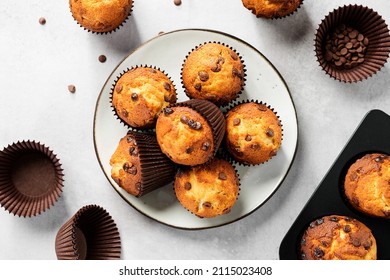 Chocolate chip muffins in plate on light gray background. top view