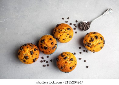 Chocolate chip muffins in plate on light gray background