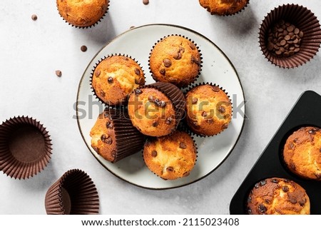 Chocolate chip muffins in plate on light gray background. top view