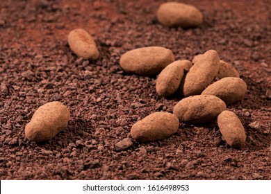 
Chocolate Color Cocoa Nugget Natural Background