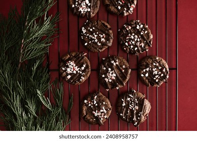 Chocolate cookies with peppermint sprinkles on baking rack. - Powered by Shutterstock