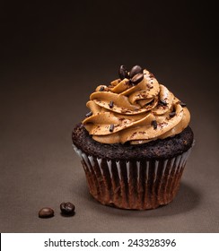 A Chocolate Cup Cake With  Mocha Icing And Sprinkles