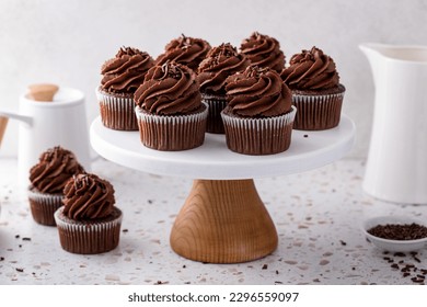Chocolate cupcakes with dark chocolate whipped ganache frosting and chocolate sprinkles