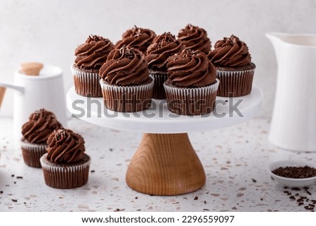 Chocolate cupcakes with dark chocolate whipped ganache frosting and chocolate sprinkles