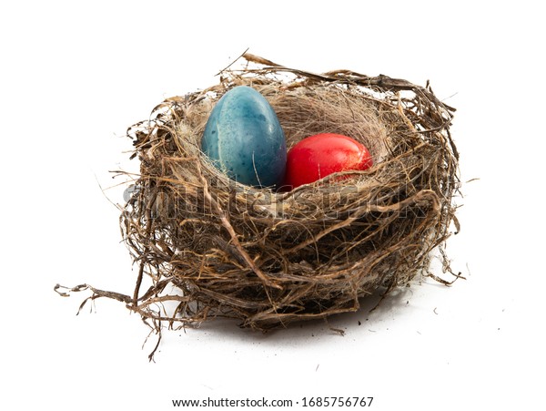 卵を持つ鳥の巣 白い背景に春の花と緑の子に囲まれた青い卵2個と鳥の巣の手描きのベクターイラスト のベクター画像素材 ロイヤリティフリー
