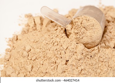 Chocolate Flavoured Protein Whey Powder With Scoop