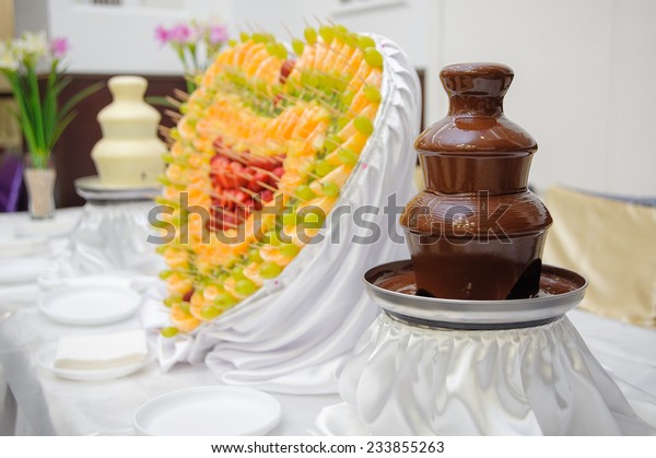 Chocolate Fountain Heart Fruits Wedding Reception Stock Photo