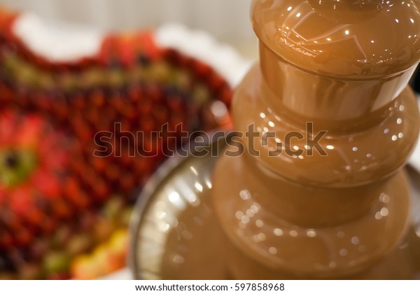 Chocolate Fountain Heart Fruits Wedding Reception Stock Photo