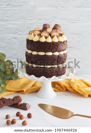 Chocolate and Hazelnut Spread Cake