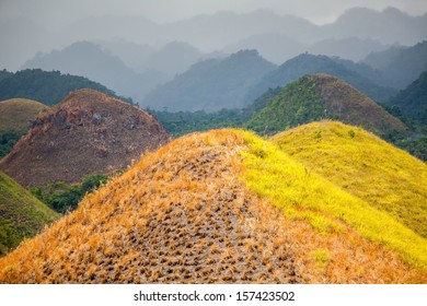 Chocolate Hills In Bohol Philippines