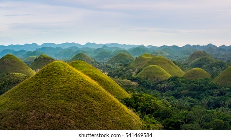 Chocolate hills, A geological formation in the Bohol province of the Philippines. They are covered in green grass that turns brown (like chocolate) during the dry season.