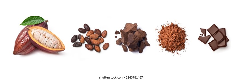 Ingredientes de chocolate, vainas de cacao, habas de cacao, masa de chocolate, polvo de cacao, barras de chocolate. Piso aislado en un fondo blanco.