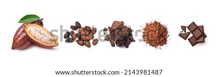 Chocolate ingredients, cocoa pods, cocoa beans, chocolate mass, cocoa powder, chocolate bars. Flat lay isolated on white background.