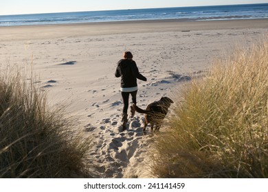 Chocolate Lab Running On Beach With Owner