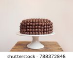 Chocolate malted cake on a cake stand.