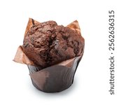 Chocolate muffin, on a white background, isolated.