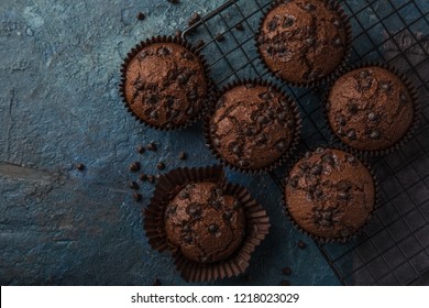 Chocolate Muffins On  Dark Blue Background, Top View