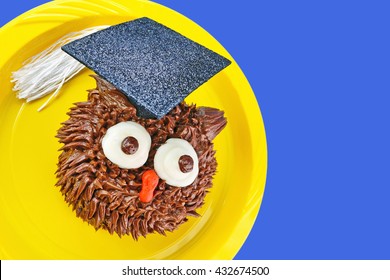 A Chocolate Owl Cupcake Wears A Graduation Cap Decoration And Looks To The Side. Background Is A Solid Royal Blue Color.