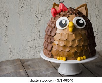 Chocolate Owl Kids Birthday Cake On Wooden Background.