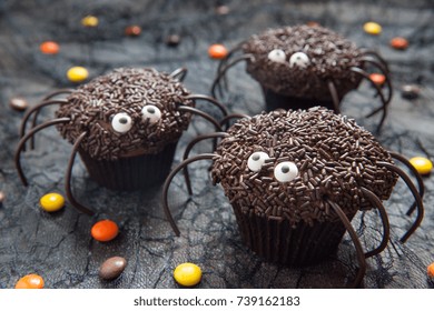 Chocolate spider cupcakes for a Halloween party - Powered by Shutterstock