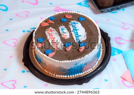 Chocolate-frosted cake features parallel blue and pink Cyrillic patronymics. enables simultaneous visual confirmation of gender upon slicing, for Russian-speaking regions, selective focus