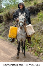 Choconta, Colombia, May 29 2022 : Portait, Rural Scene Of A Colombian Farmer With His Horse On An Earth Path. The Old Man Wears A Wool Traditionnal Poncho And The Horse Is Harnessed With A Rope.