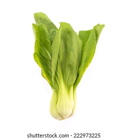 Choi Sum Isolated On White Background Stock Photo 222973225 | Shutterstock