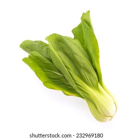 Choi Sum Isolated On White Background